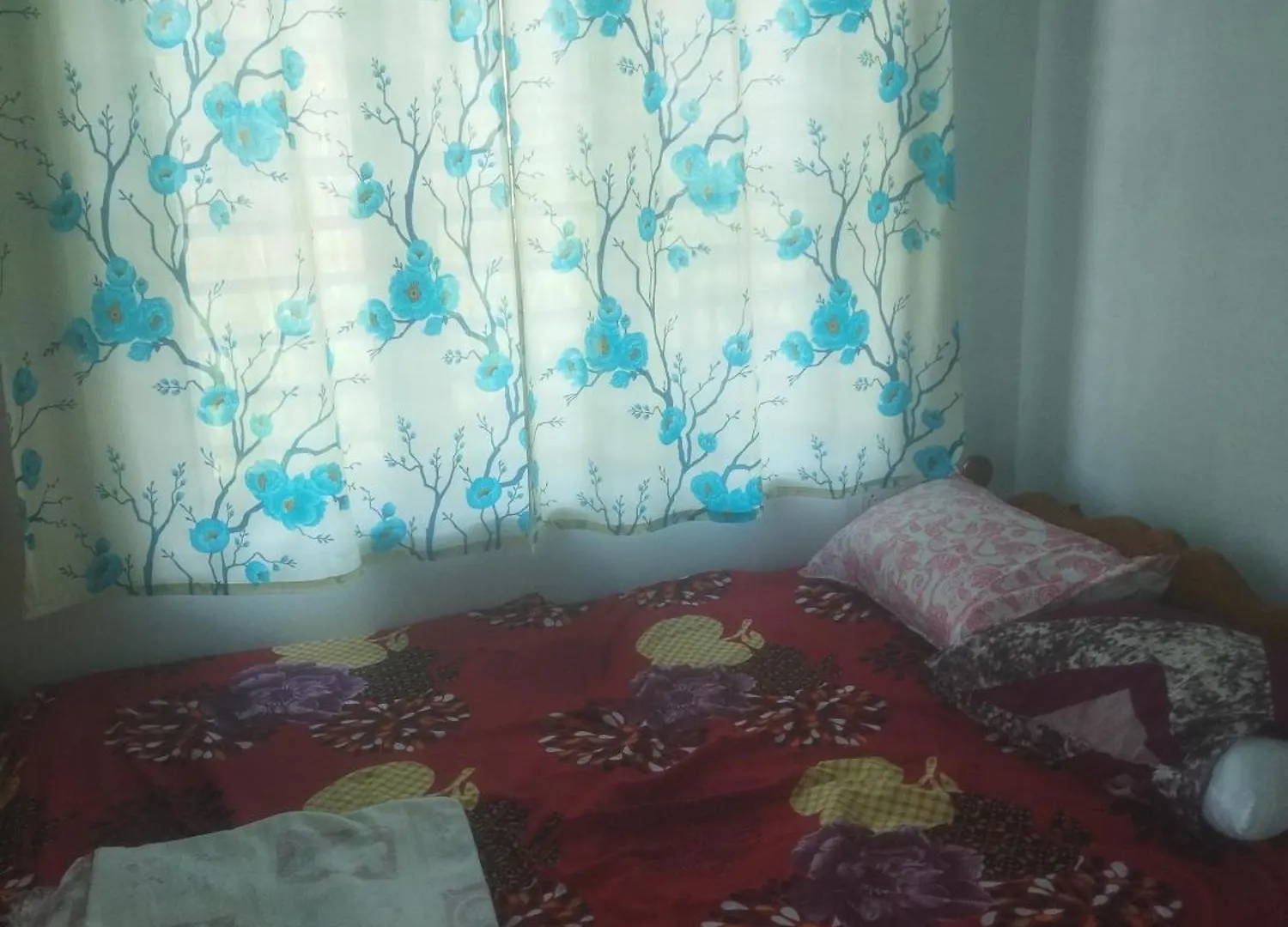 Tc Family Apartments Padinjarathara